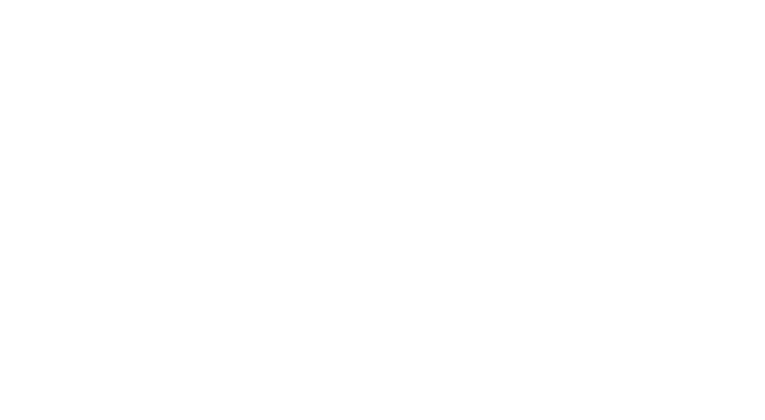 Speed Renov 69